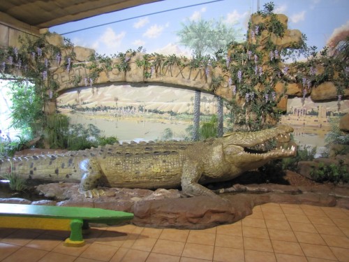 Inside the entrance of the Reptile Park