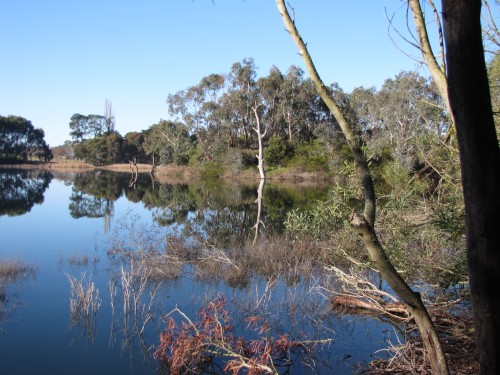 Laratinga Wetlands, Mt Barker, South Australia