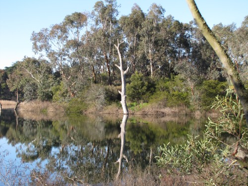 Laratinga Wetlands, Mt Barker, South Australia