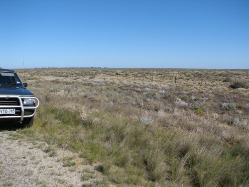 Hay Plains, New South Wales