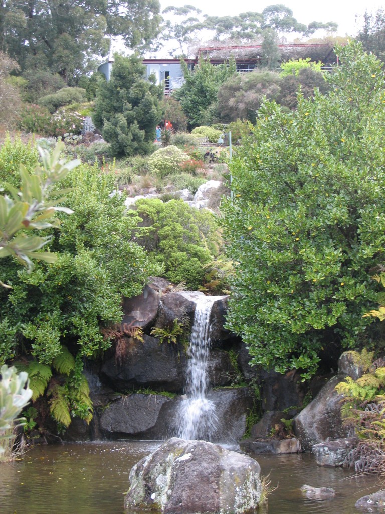 Mount Tomah Botanic Gardens, NSW Trevor's Birding