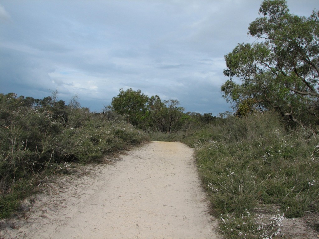 Walking track in the Cranbourne Botanic Gardens - Trevor's Birding