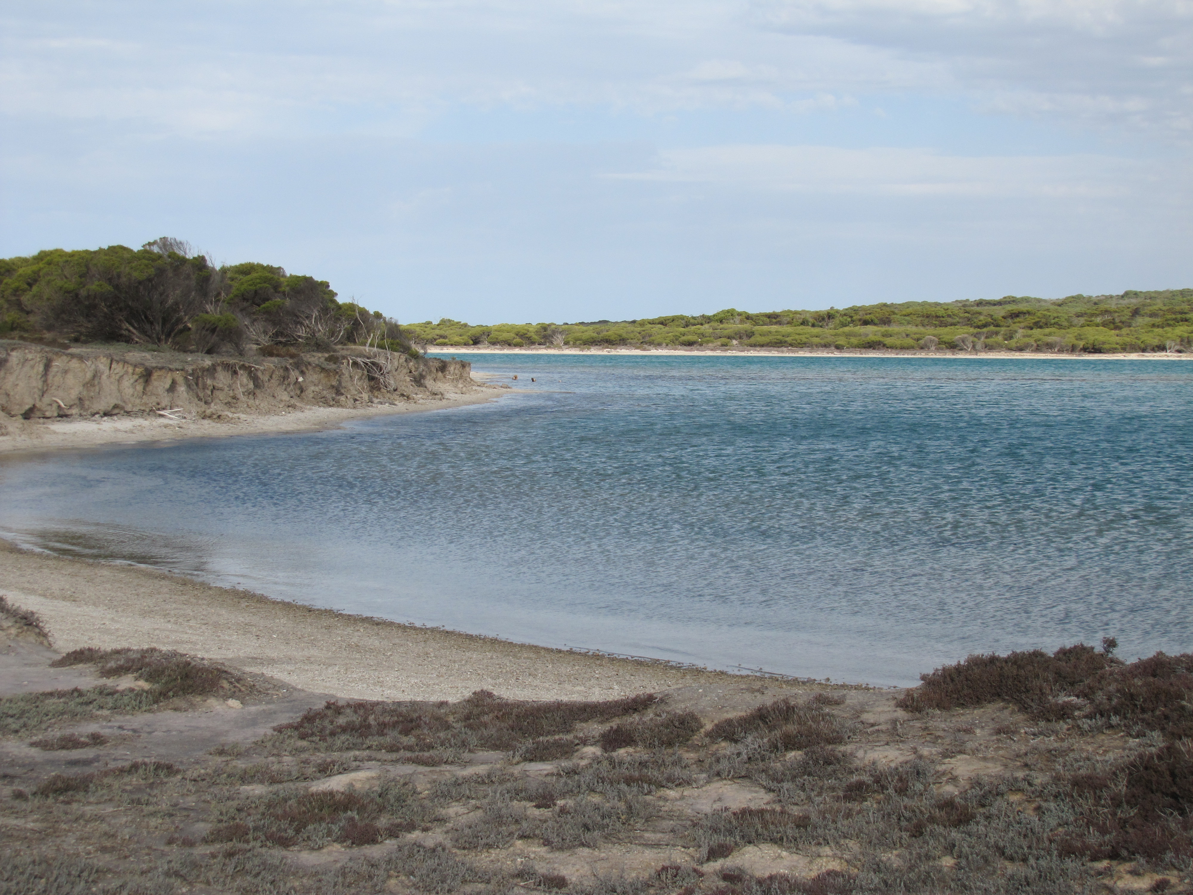 Lake Inneston, Yorke Peninsula - Trevor's Birding